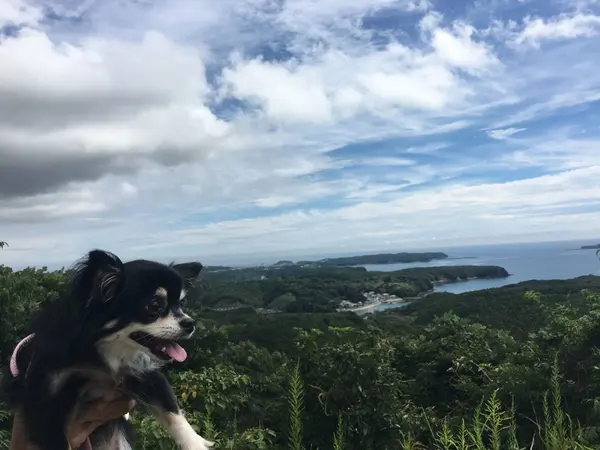 箱田山園地