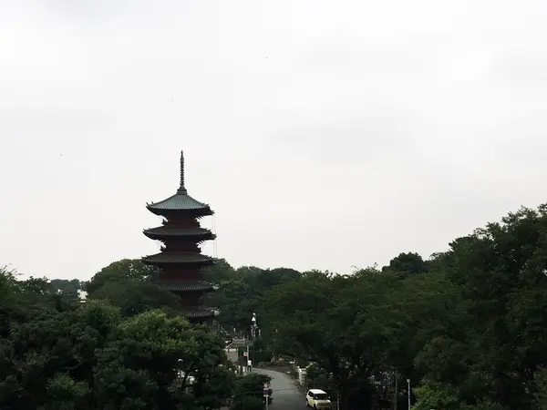 屋上からの景色！