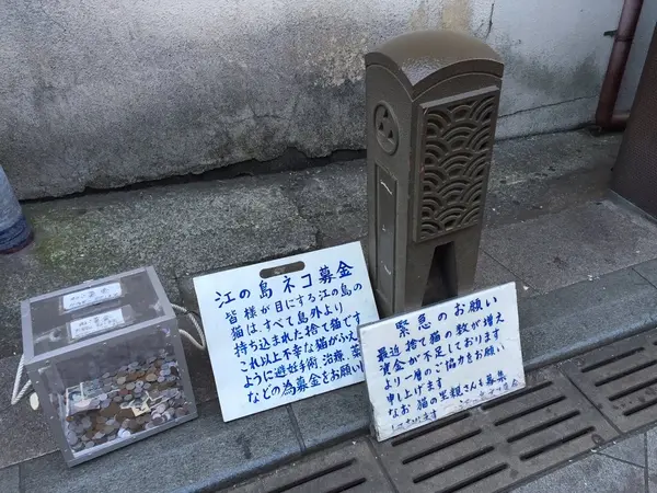 ネコ募金