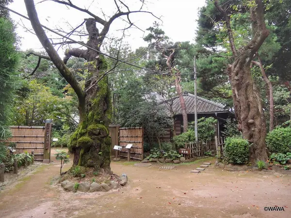 常識門 哲学堂公園