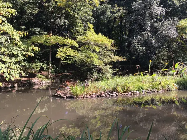 池