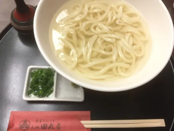 かけうどんも美味い