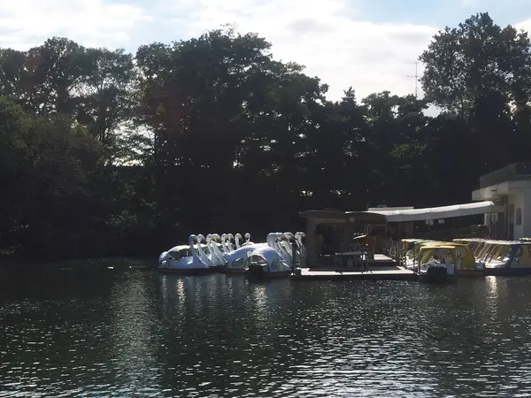 池にはボートが！