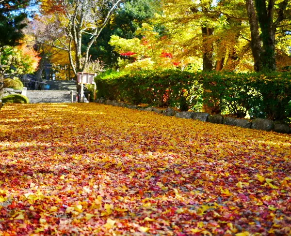 播州清水寺の紅葉②