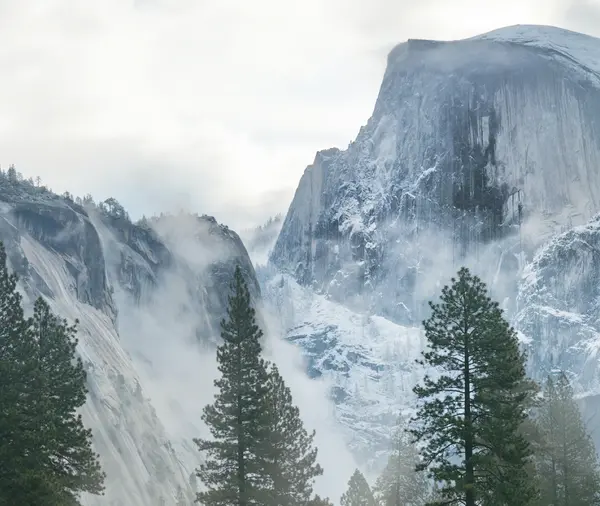 これはサブのおすすめ