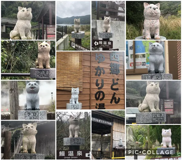 13匹のﾜﾝｺ達