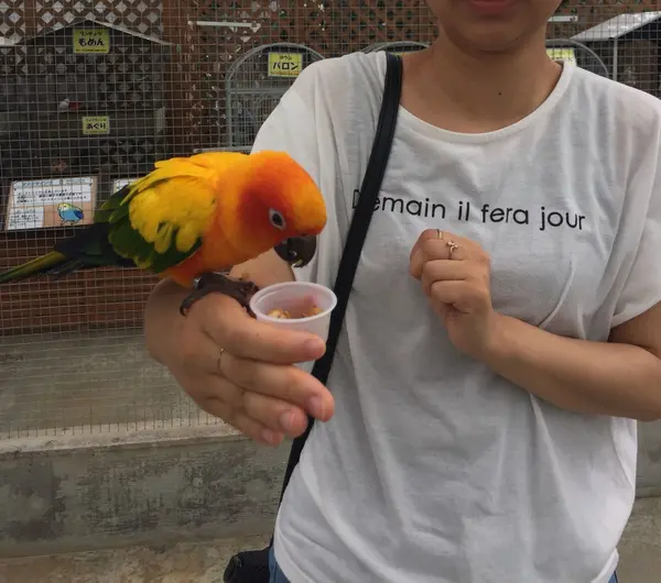 餌やりも出来ます😊