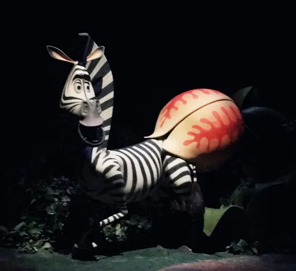 マダガスカルエリア