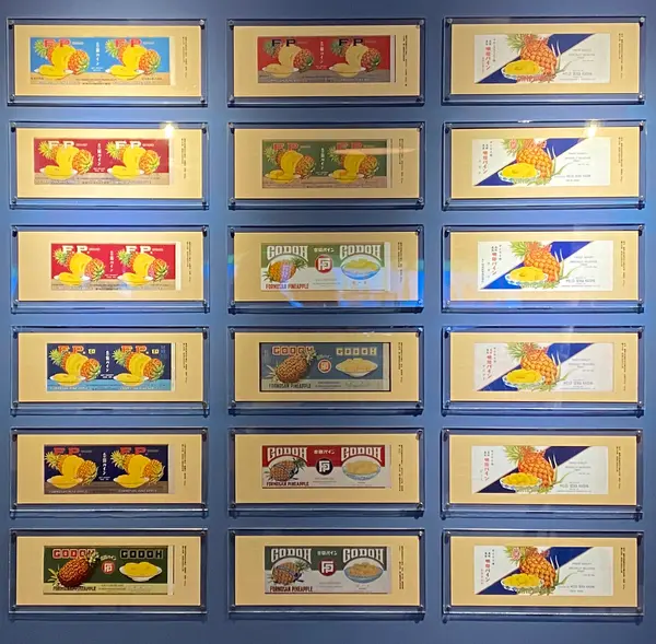 展示品