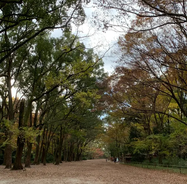 馬場