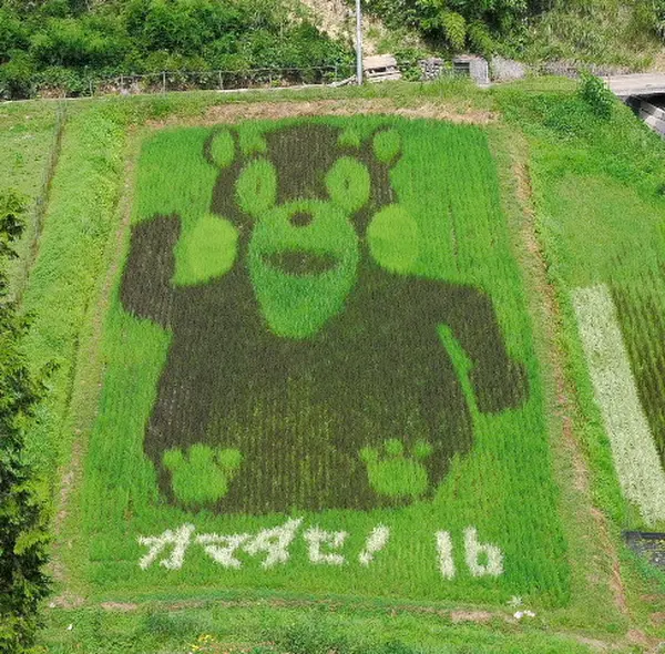ガマダセ熊本！