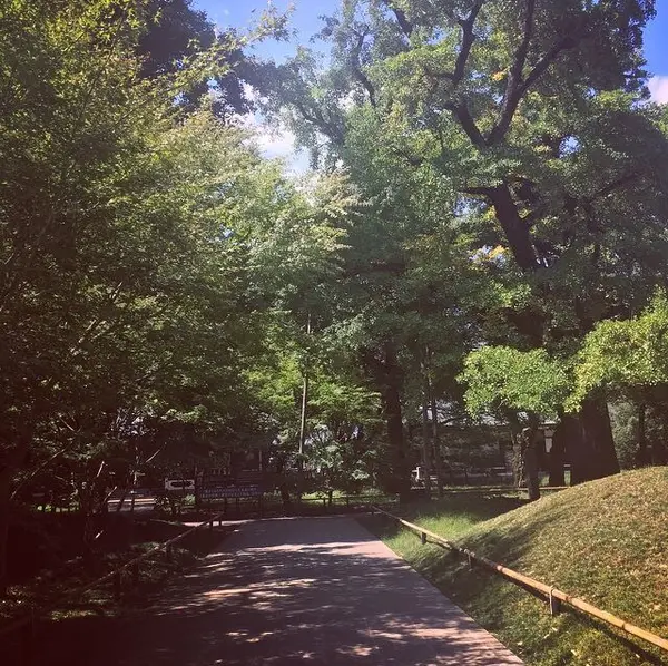 境内の様子(夏)