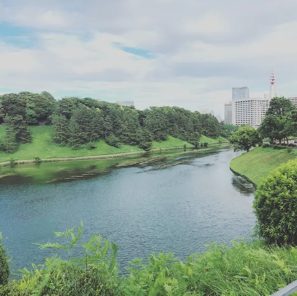 皇居まわり