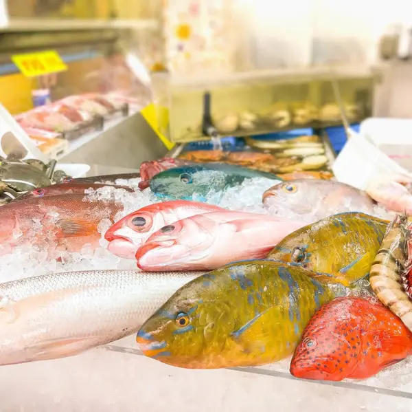 沖縄のお魚たち