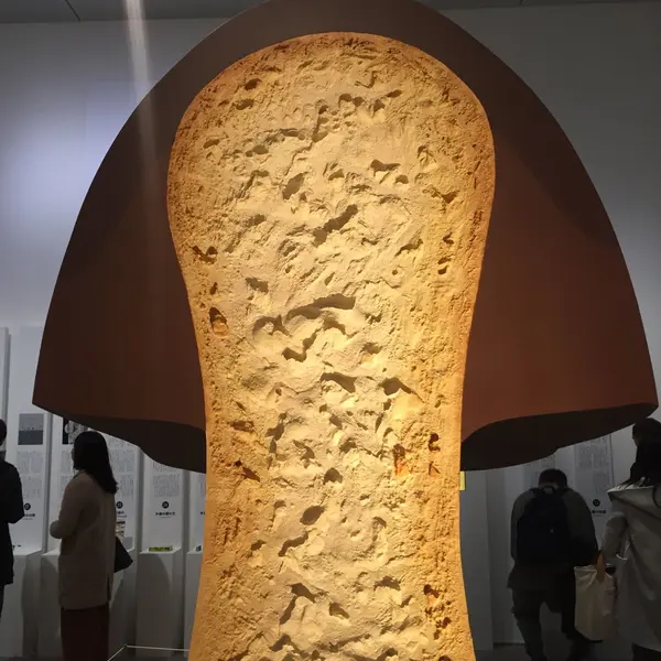 デザインの解剖展