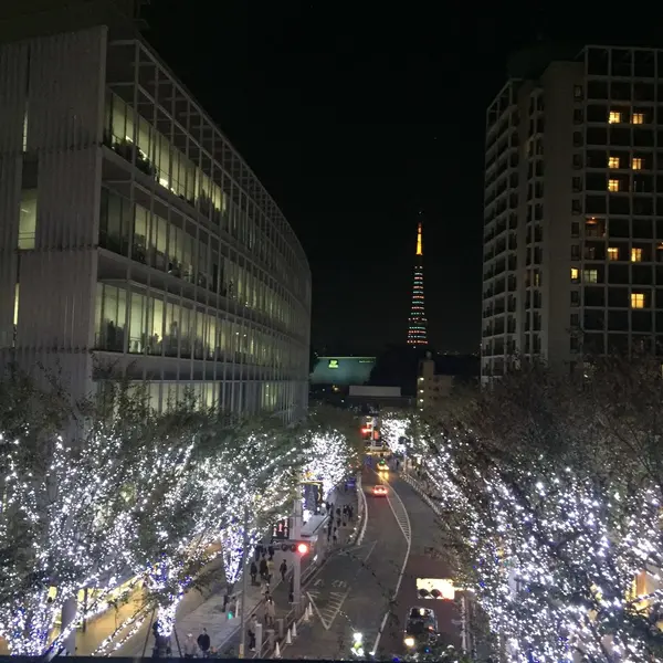 ↑今年の色違い