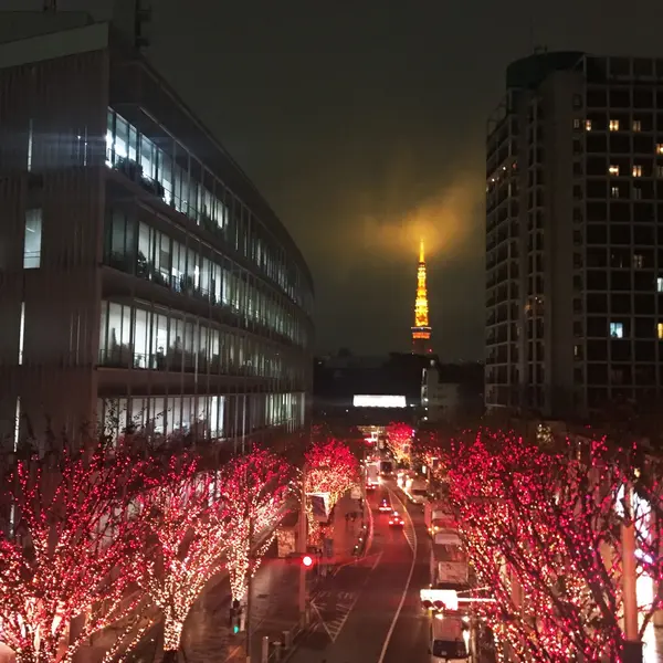 昨年の様子