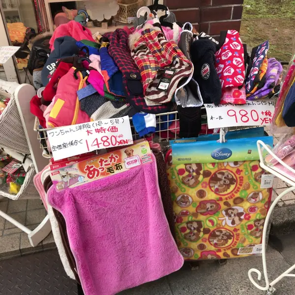 ワゴンにもたくさん！