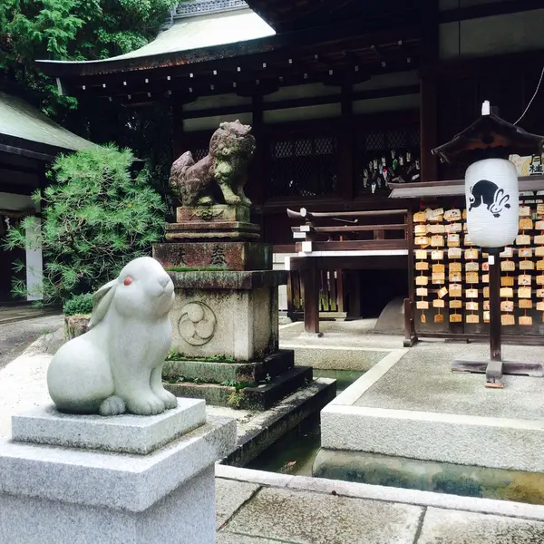 狛うさぎ