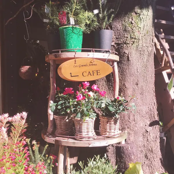 お花屋さん×カフェの融合スタイル🌷