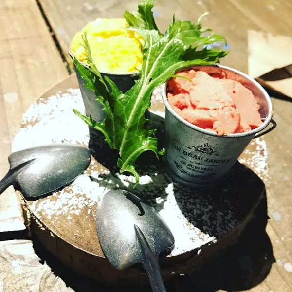 野菜のシャーベット