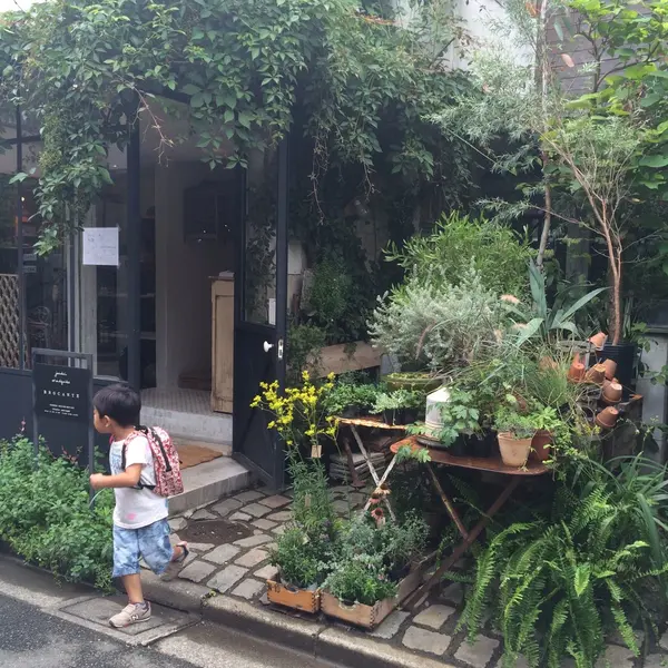 植木も少し置いてあります