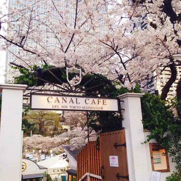 桜シーズンは特に人気！