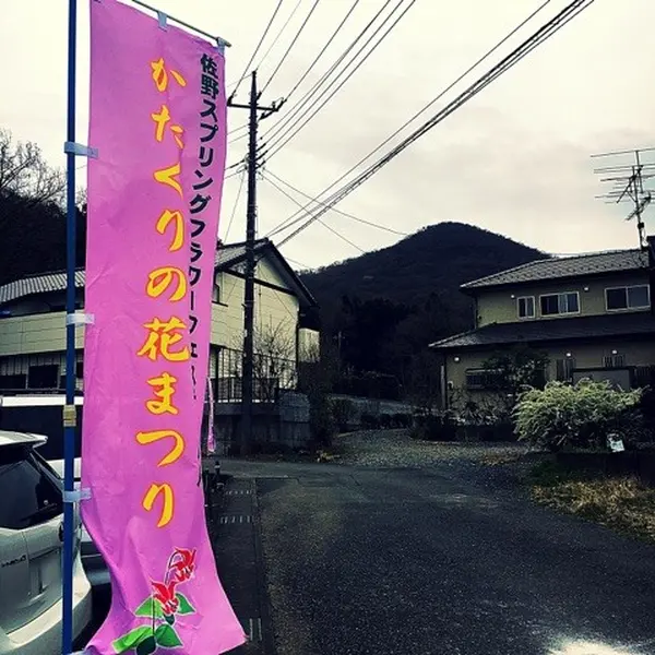 かたくりの花まつり♩