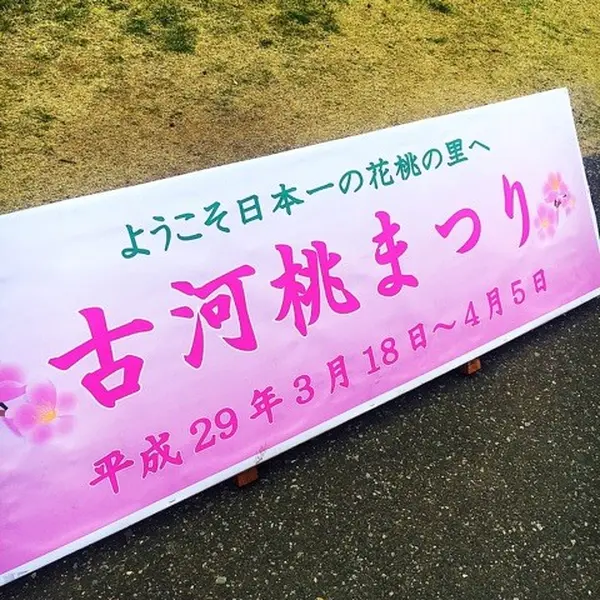 古河桃まつり♩