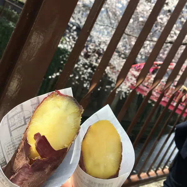 焼き芋片手に桜を見る（笑）
