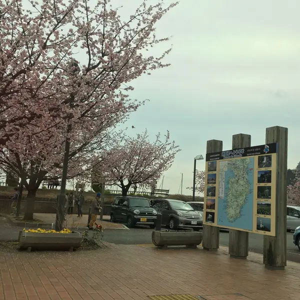 桜がちらほらと