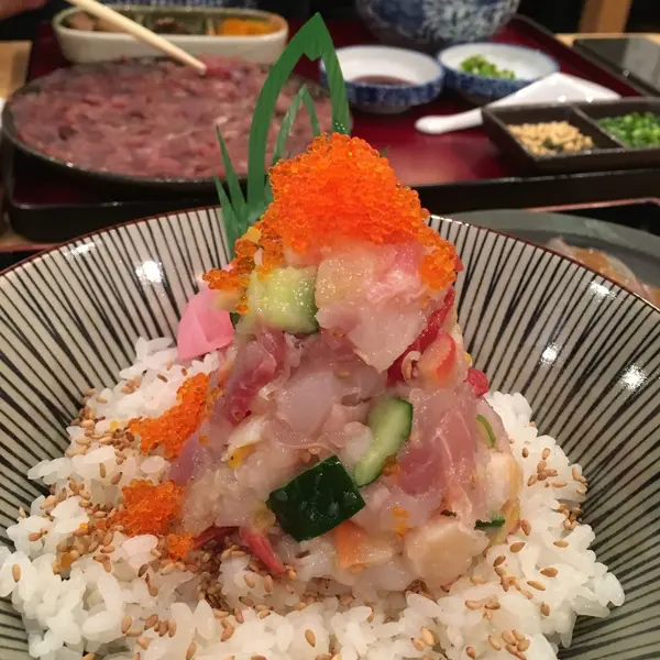 はじめましてのお魚がたくさん。