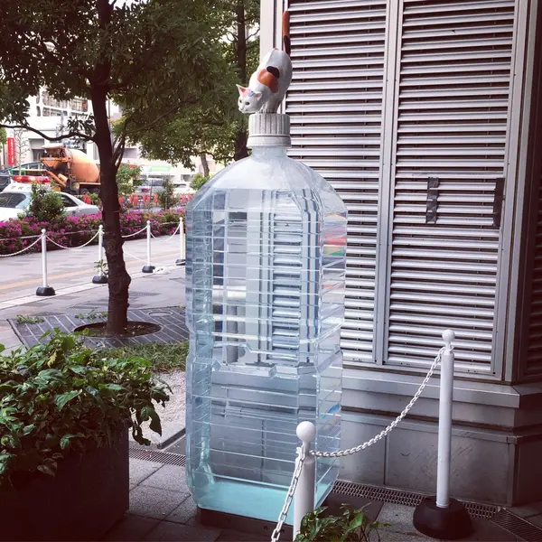中にちゃんと水が入ってます♪