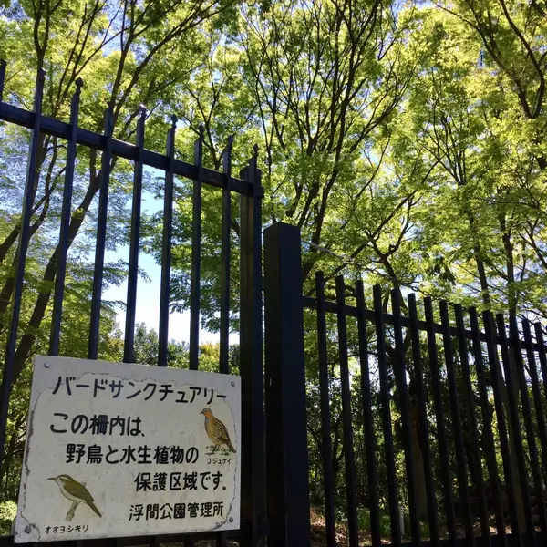 野鳥も！！