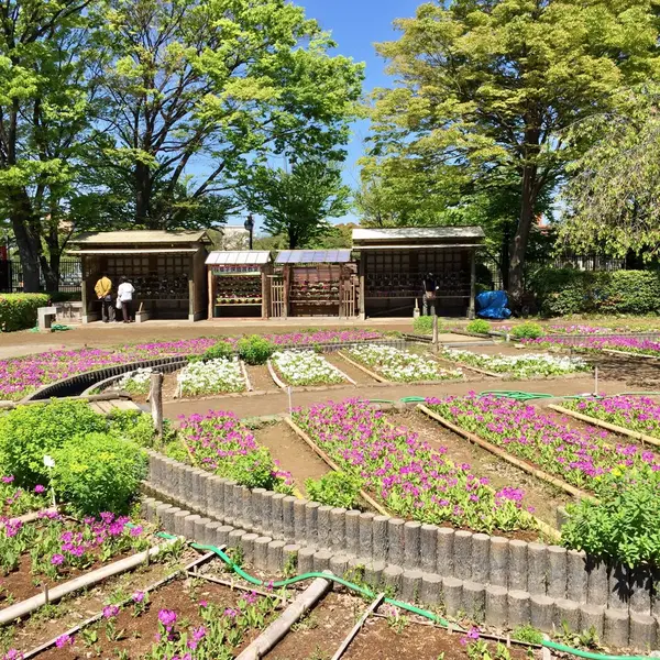 期間中みられるお庭