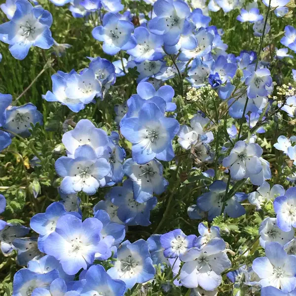 かわいい♡