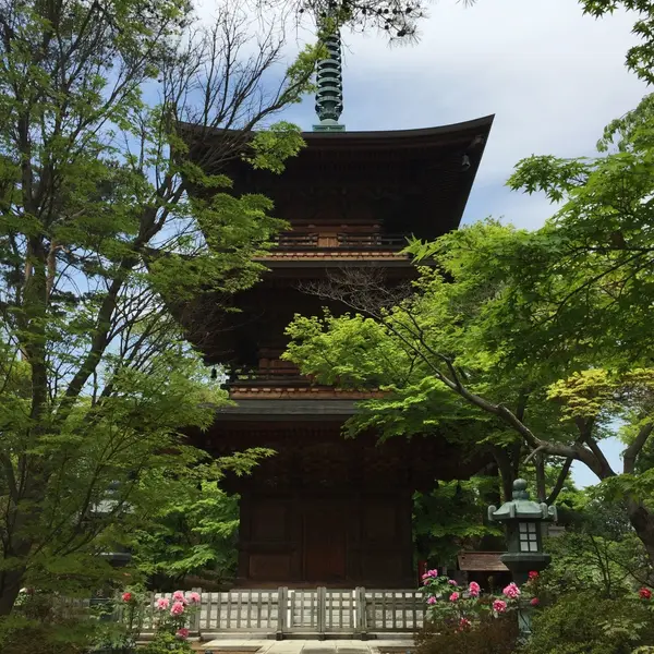豪徳寺三重塔