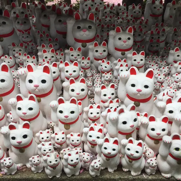 招き猫が いっぱい‼︎