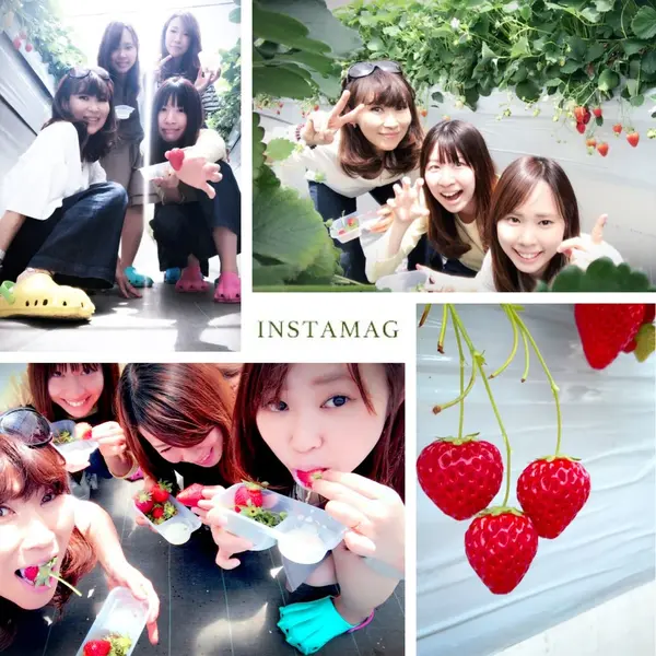 8種類🍓