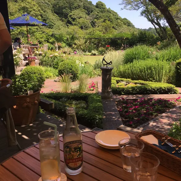 テラスランチ