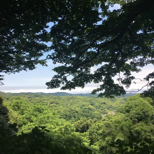 景色最高！