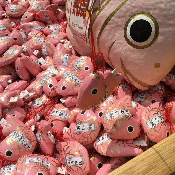 あい鯛みくじ