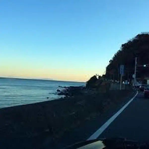 伊豆の海を眺めながらのドライブ♪バス移動でも飽きさせません！