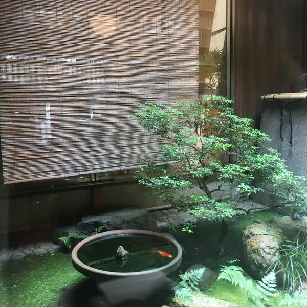 中庭✨