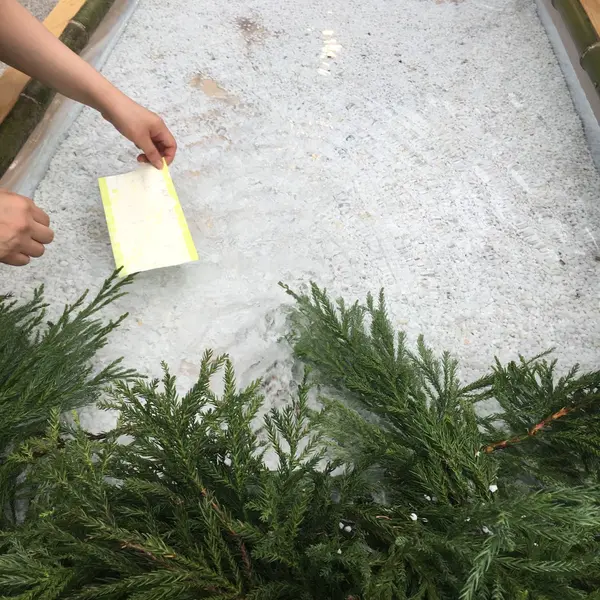 水占いもありました