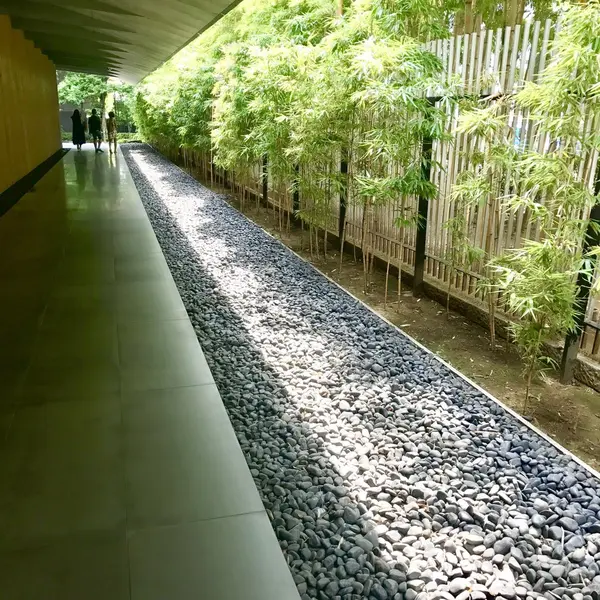 🌱.館内に入るとまず目に入るのが…