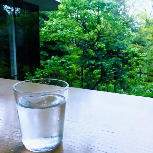 🌱.おすすめは、カウンター席