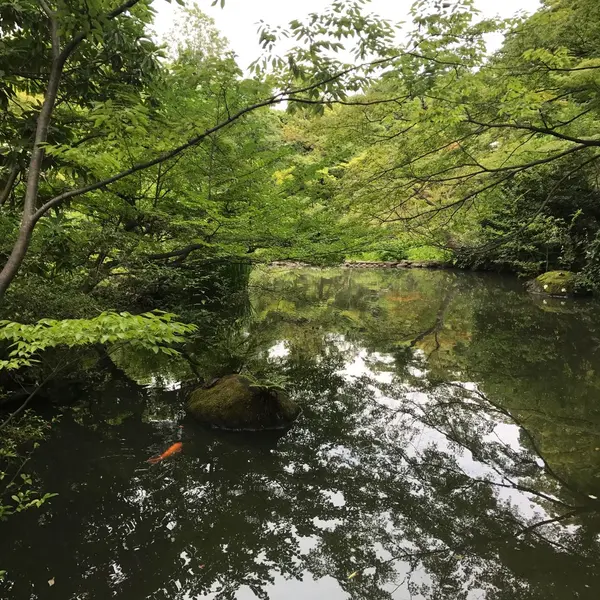 🌱.今いる時間に集中しよう…