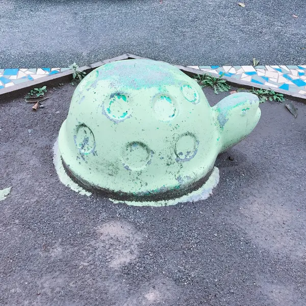 公園が動物園...🐢？