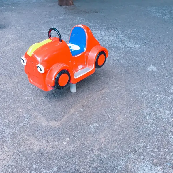 動物だけじゃなくて...🚗